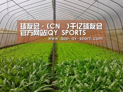 种植基地四