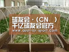 环境展示五