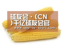 产品名称五