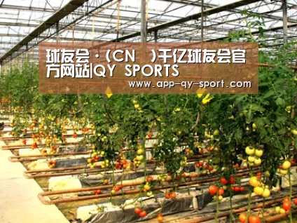 种植基地二